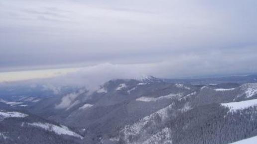 , Janek