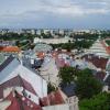 Widok z Wieży Trynitarskiej, Danusia