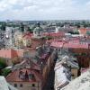 Widok z Wieży Trynitarskiej, Danusia