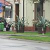 Żywiec, Katarzyna K