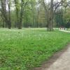 park w Żywcu, Katarzyna K