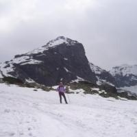 , Janek