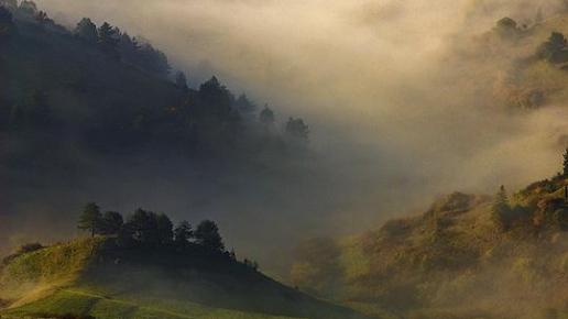 , Sebastian Walas