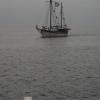 Sopot, Katarzyna Joanna Bućko Paulina Gardocka