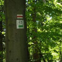 szlak na Święt Krzyż, Katarzyna K