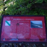 tablica informacyjna, Katarzyna K