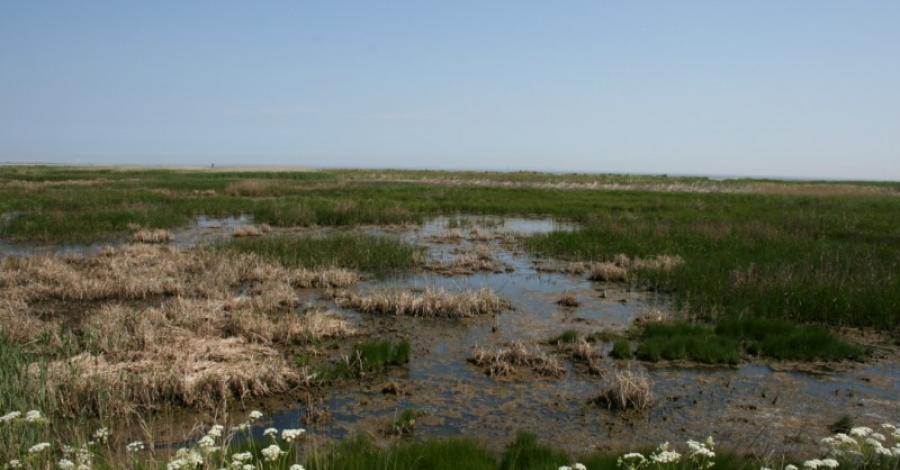 Schillig CZERWIEC 2010 - zdjęcie