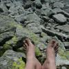 , bartek