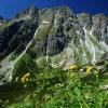 , bartek