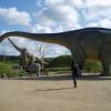 ŁebaPark, Danusia