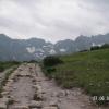 , Wiktor