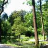 park w Żywcu