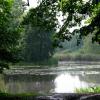 Tychy - Paprocany