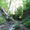 Pszczeliny-Bukowe Berdo-Ustrzyki Górne, Marek Weber