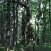 Pszczeliny-Bukowe Berdo-Ustrzyki Górne, Marek Weber