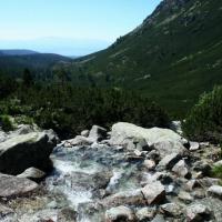, bartek