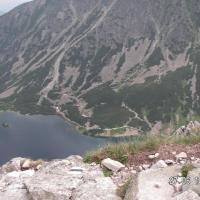 , Wiktor