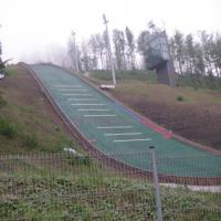 , Wiktor