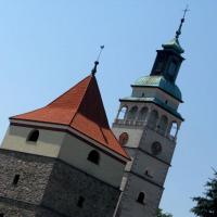 katedra w Żywcu