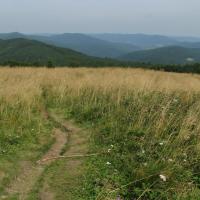 Pszczeliny-Bukowe Berdo-Ustrzyki Górne, Marek Weber
