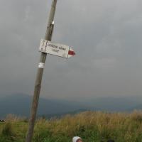 Pszczeliny-Bukowe Berdo-Ustrzyki Górne, Marek Weber