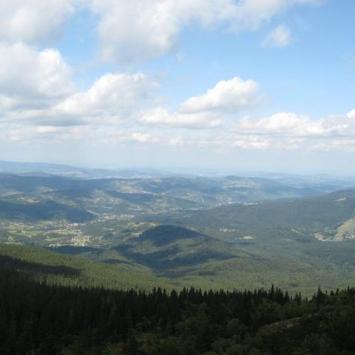widok na Zawoję, Danuta