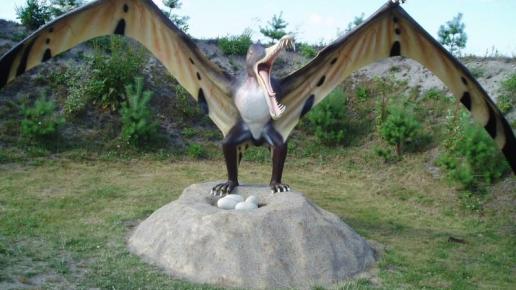 , Danusia