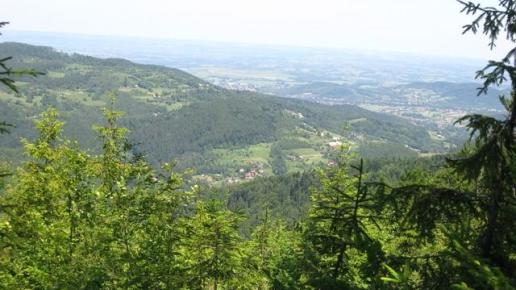 góra Żar jeden z widoczków, Danuta