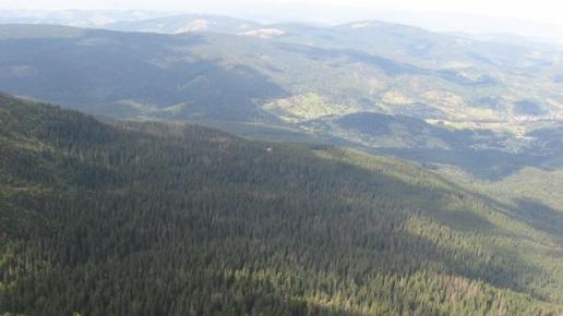 widok z Babiej Góry na północ, Danuta
