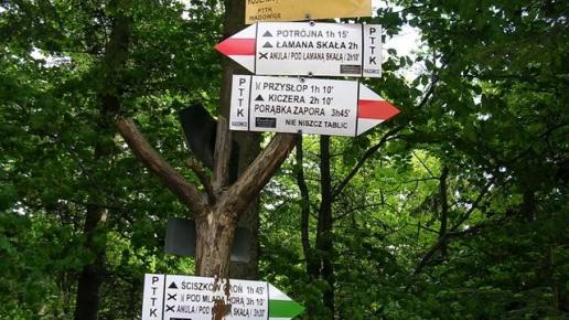 Przełęcz Kocierska- rozwidlenie szlaków turystycznych, Danuta
