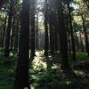 Beskid Żywiecki, Łukasz