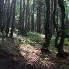 Beskid Żywiecki, Łukasz