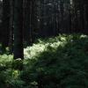 Beskid Żywiecki, Łukasz