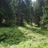 Beskid Żywiecki, Łukasz