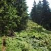Beskid Żywiecki, Łukasz