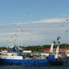 helski port, Lidka Kwiatkowska