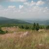 , Wiktor