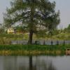 Lipie, Magdalena