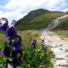 Tatry