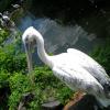 Opole zoo