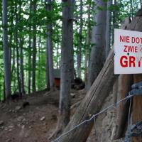 Nie sprawdzałem czy gryzą ;), Łukasz
