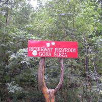 , Wiktor