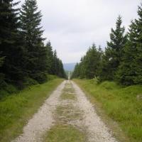 , Wiktor