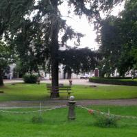 Stadnina w Mosznej