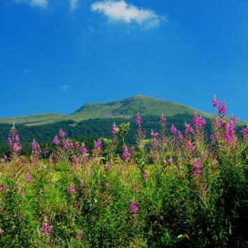 BIESZCZADY - zdjęcie