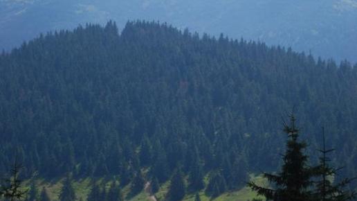 Beskid Żywiecki, Łukasz