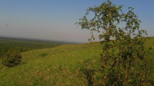 czubatka, Magdalena