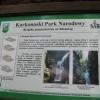 , Alek