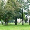 , Arkadiusz Musielak