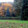 Chorzowski Park